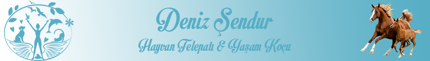 Deniz